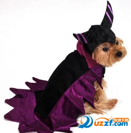 Halloween animal costumes(ʥڶapp)ͼ