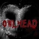 OWLHead��ԭ��Ϸ1.0.1 ��׿���°�