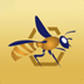 大蜂保险软件app1.0.3 最新版