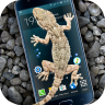 Gecko in Phone Scary joke(ڻֻ)1.0 ٷֻ