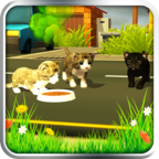 Cat Simulator - Pet World(èģ)1.0.2 °׿