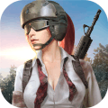 Rules of Survival1.1 ֻ