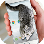 Cat Walks in Phone Cute Joke2.6.7 ׿ֻ