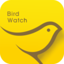 BirdWatchСӳapp1.0.4 ׿