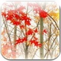 Autumn Livewallpaper HD(ҶֽAPP)1.3 ׿