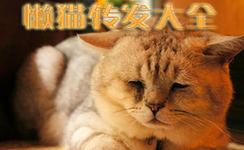 ��èת����ȫ