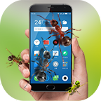 ���϶��AppV1.0.12�ֻ���