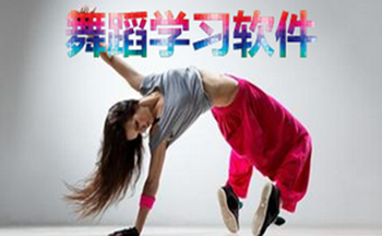 �赸ѧϰ����