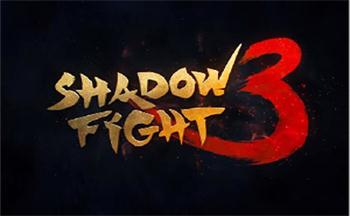 暗影格斗3