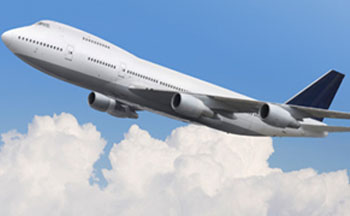 ��Ʊ�Żݶ�������