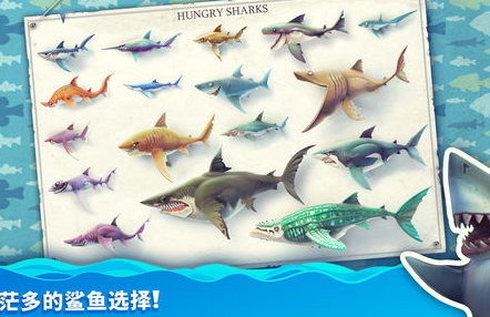 饥饿鲨世界国际服Hungry Shark