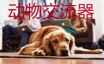 ���ｻ�����汾��ȫ