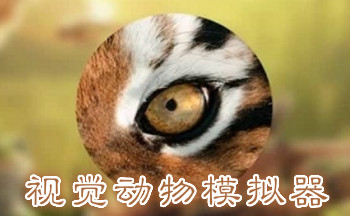 视觉动物模拟器大全
