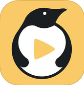 2016德玛西亚杯直播