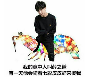 表情表情虾七彩狐狸版手机天龙版信皮皮包微图片