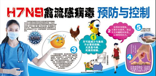 H7N9禽流感预防措施 H7N9预防常识大全