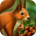ģ(Squirrel Animal simulator)1.0 ׿