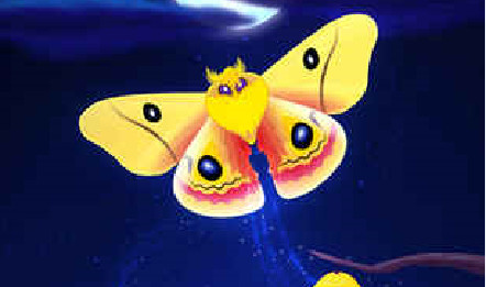 彩翼之星夜安卓版下载|彩翼之星夜(Flutter: Sta