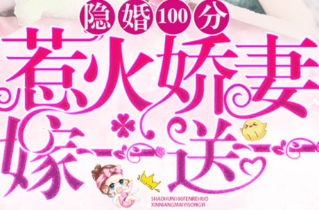 隐婚100分惹火娇妻嫁一送一txt下载|隐婚100分