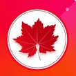 ��Ҷֱ��app�ƽ��2.26��׿��