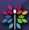 ���Ľ�˾��411app1.0 ��׿��
