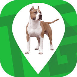 �칷��app2.5.5 ��׿���°�