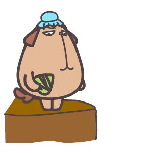 2017翔通动漫端午节搞笑动态表情包高清无水印