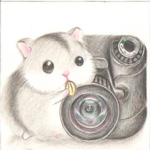 ����ֱ��ƻ����1.0.0 IPhone/IPad��