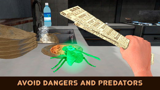 昆虫模拟器游戏飞生存汉化破解版下载|昆虫模