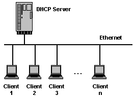 DHCP Serverͼ1