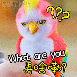 楚乔传苍梧鸟表情包预览 搞事情 剧中的这只鹦鹉无时无刻都在抢戏打