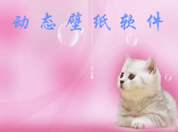 动态壁纸软件