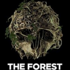 Slendrina: The Forest(ɭ(The Forest)VR)1.0.2 ׿