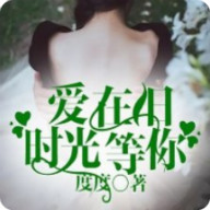 爱在旧时光等你黎络楚安辰1.0 安卓版