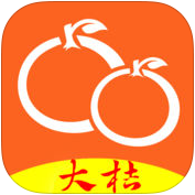 大揭阳手机版1.0 官方苹果版