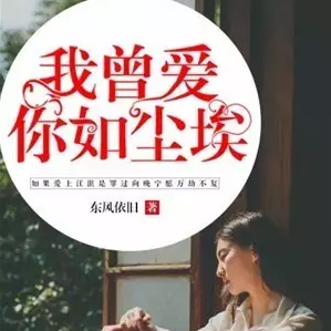 东风依旧小说向晚江湛全本结局版手机免费版