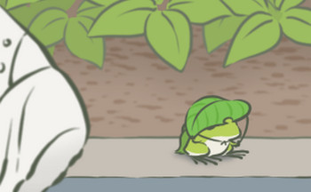 我的蛙不回家的游戏