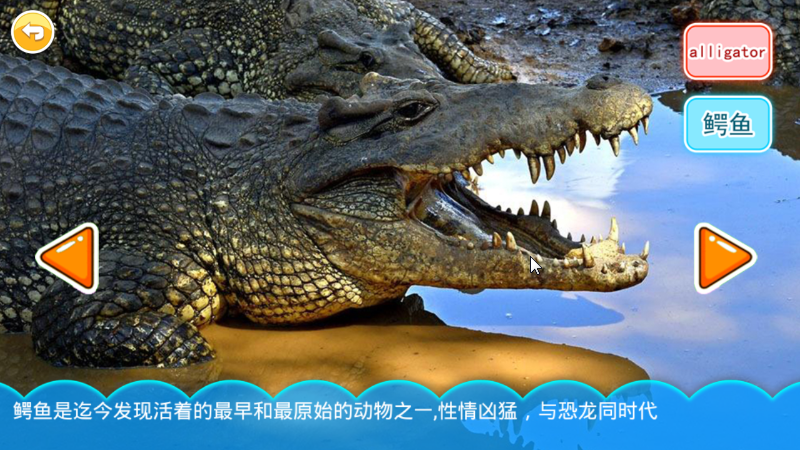 儿童动物总动员app截图