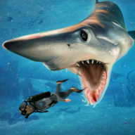 ģ2018(Shark Simulator 2018)1.3׿°