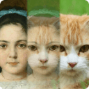 Zooface��������1.3.6��׿��