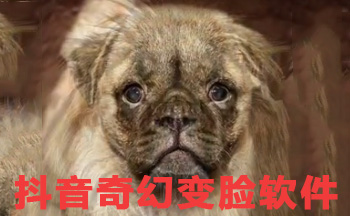 ������ñ�������