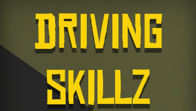 ʻϷ(Driving Skillz)