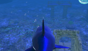С(Big Shark Vs Small Sharks)