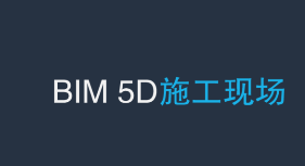 BIM5D