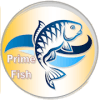 ߼(Prime Fish)1.0 ׿