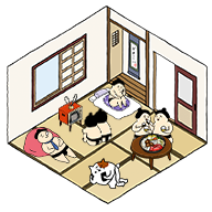 �񵽸�����ѡ������1.2.1��׿���°�