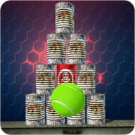 �ܹ�����3D����(Can Shooting Knockdown King)1.0��׿��