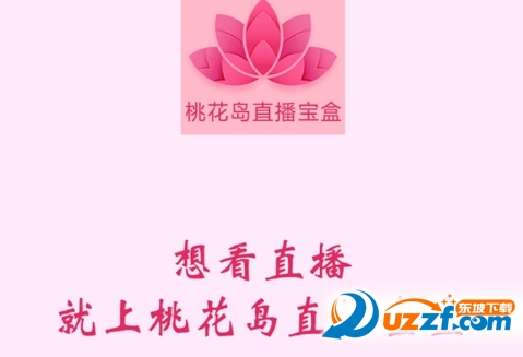 桃花岛直播盒子