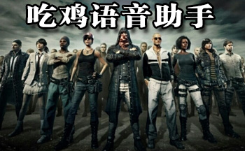 �Լ���������