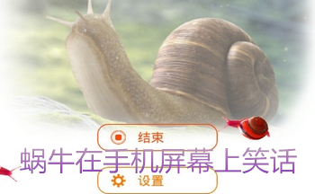蜗牛在手机屏幕上笑话